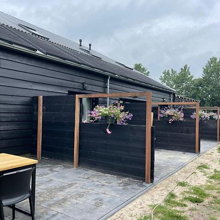 Cozy Holiday Home In Vrouwenpolder Close To The Beach エクステリア 写真