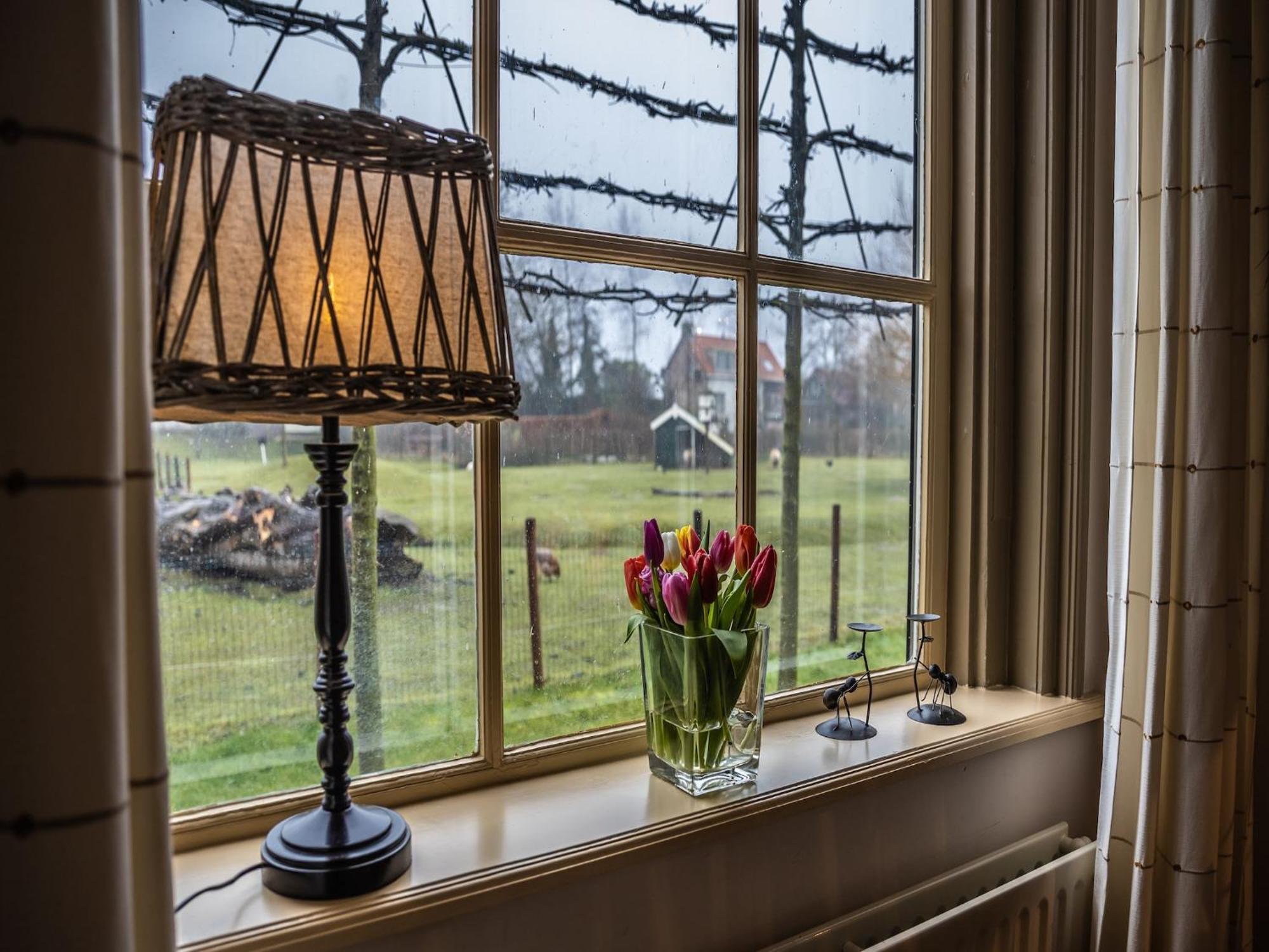 Cozy Holiday Home In Vrouwenpolder Close To The Beach エクステリア 写真